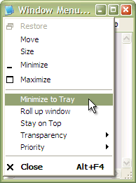 Actual Window Menu Screenshot